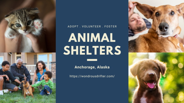 Animal shelters in Anchorage, Alaska