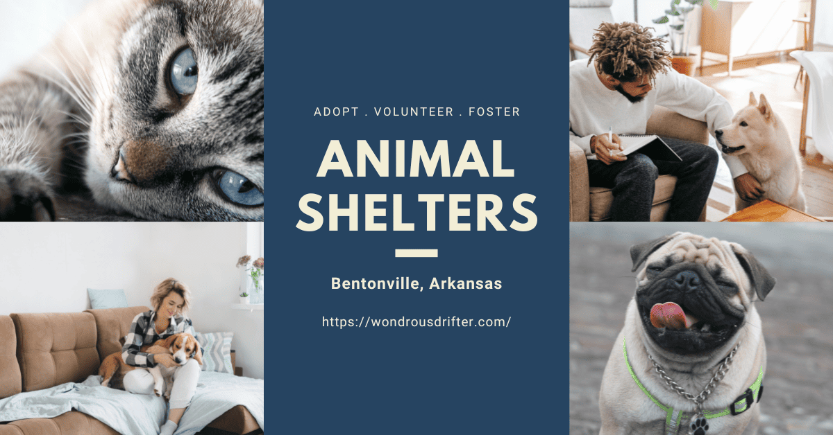 Animal shelters in Bentonville, Arkansas