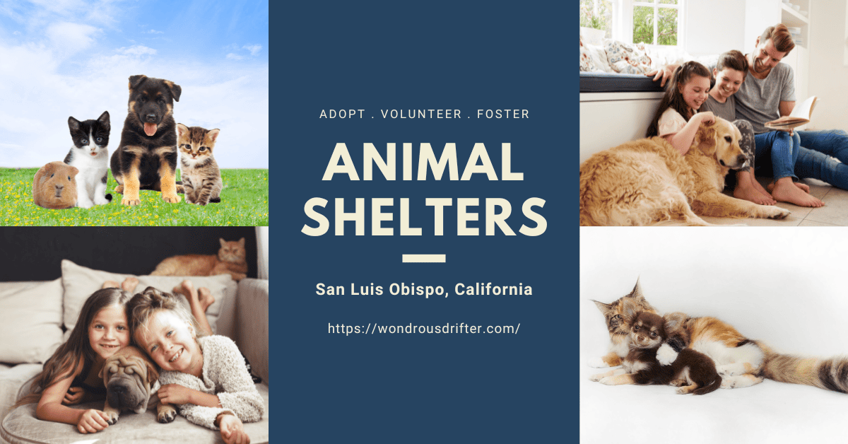 Animal shelters in San Luis Obispo, California