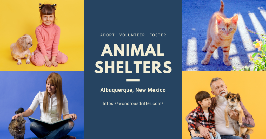 Animal Shelters in Albuquerque, New Mexico