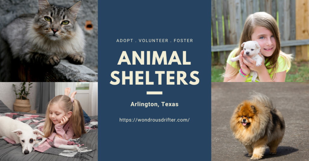 Animal Shelters in Arlington, Texas