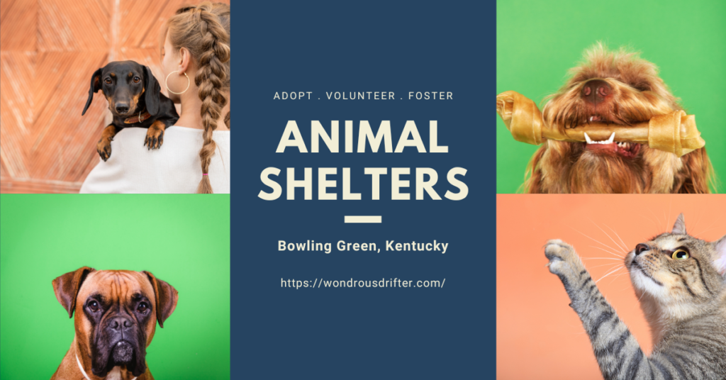 Animal Shelters in Bowling Green, Kentucky