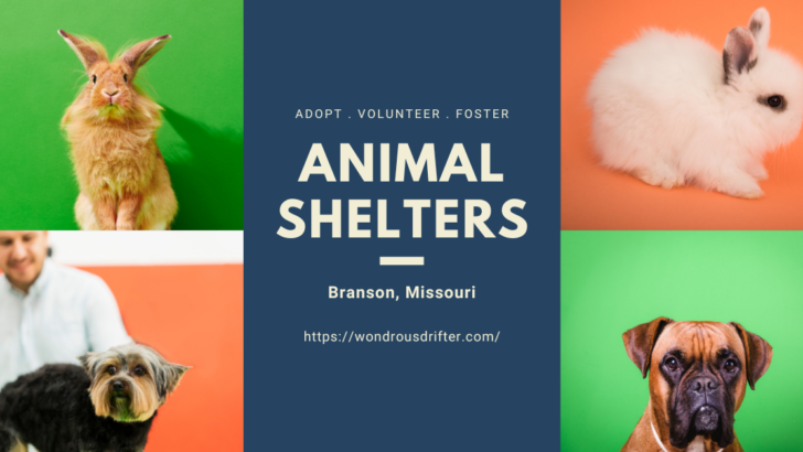 Animal Shelters in Branson, Missouri