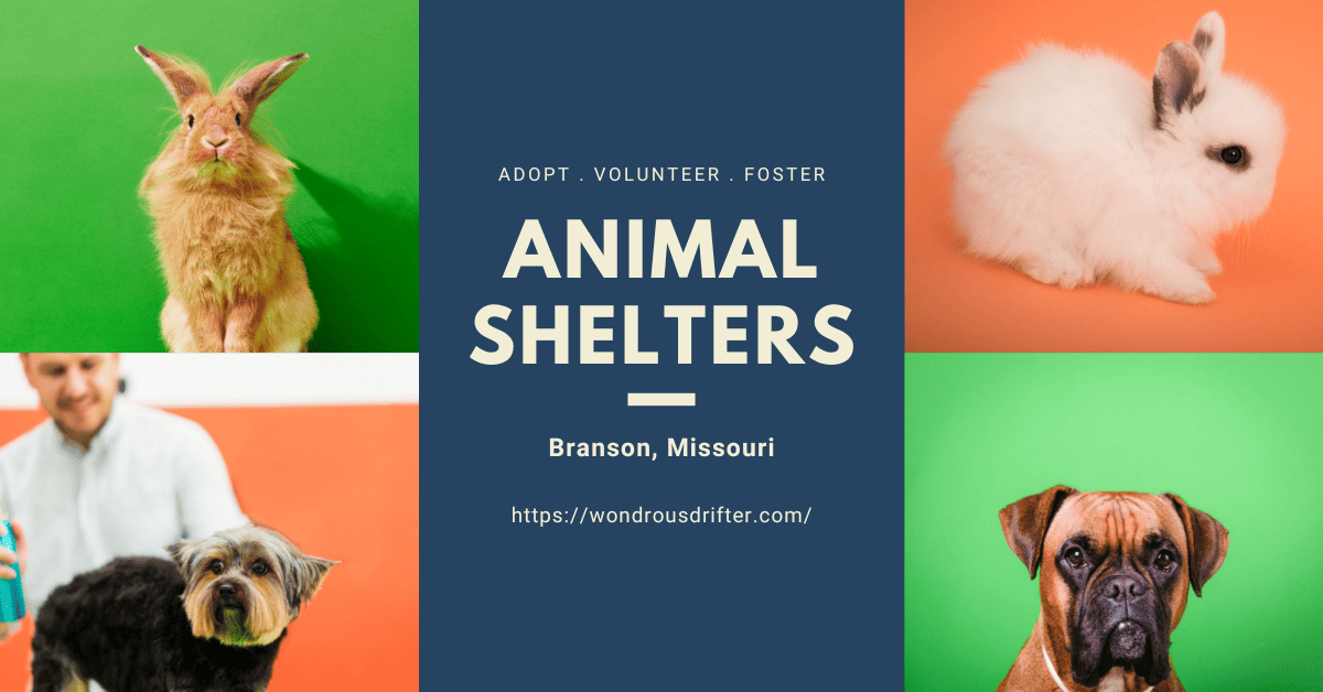 Animal Shelters in Branson, Missouri