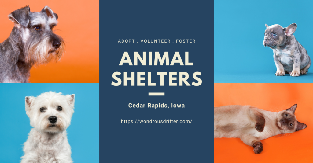 Animal Shelters in Cedar Rapids, Iowa