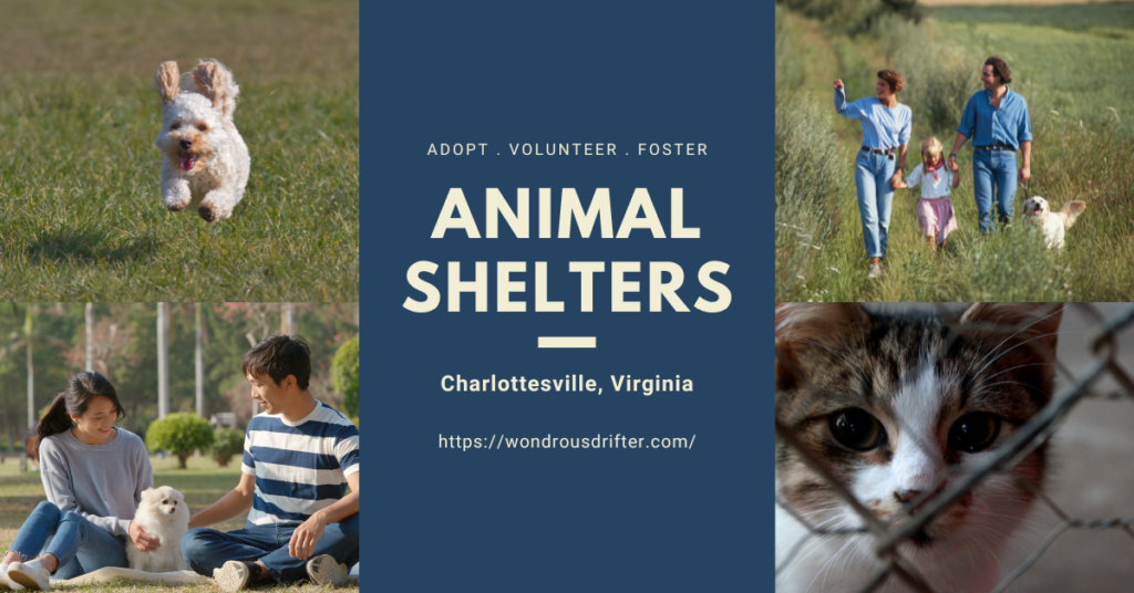 Animal Shelters in Charlottesville, Virginia