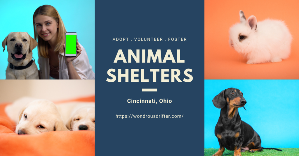 Animal Shelters in Cincinnati, Ohio