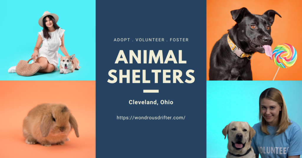 Animal Shelters in Cleveland, Ohio