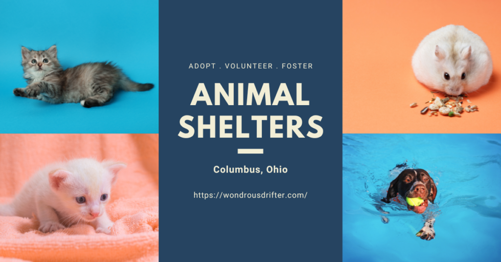 Animal Shelters in Columbus, Ohio