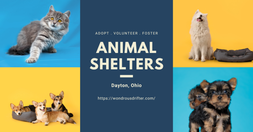 Animal Shelters in Dayton, Ohio