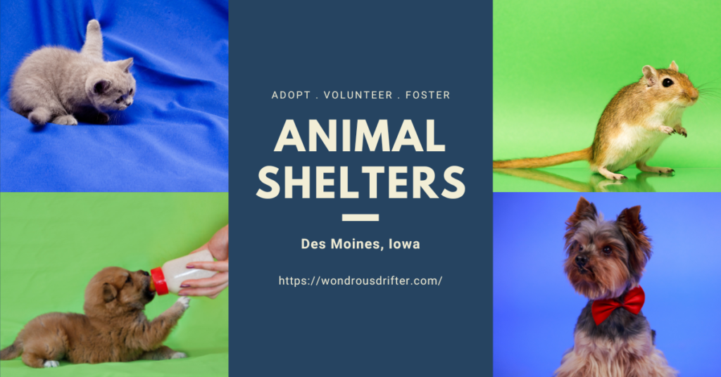 Animal Shelters in Des Moines, Iowa