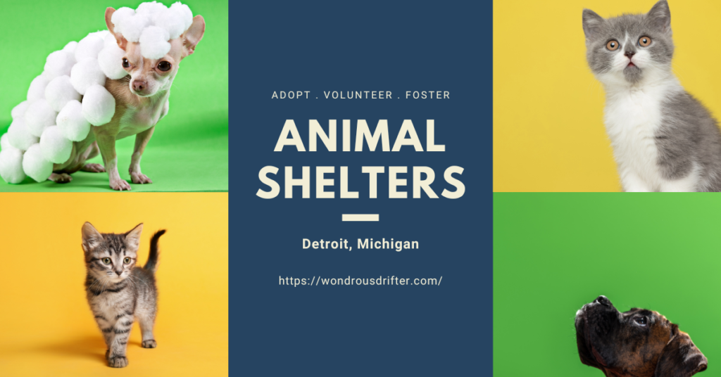 Animal Shelters in Detroit, Michigan