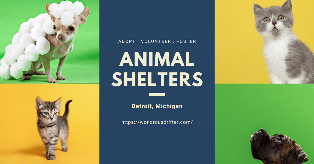 Animal Shelters in Detroit, Michigan