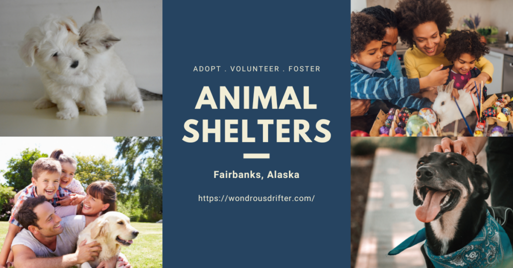 Animal Shelters in Fairbanks, Alaska