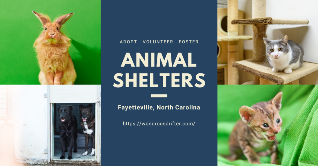 Animal Shelters in Fayetteville, North Carolina