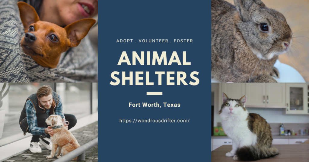 Animal Shelters in Fort Worth, Texas