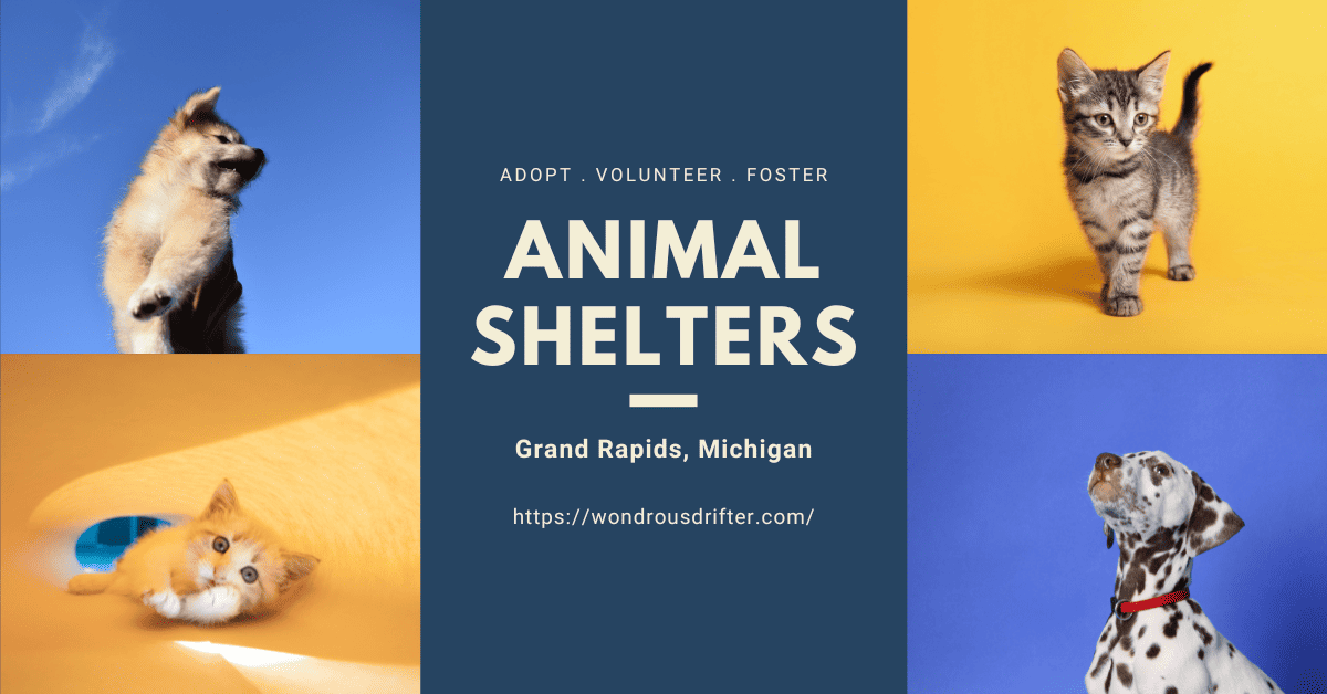 Animal Shelters in Grand Rapids, Michigan