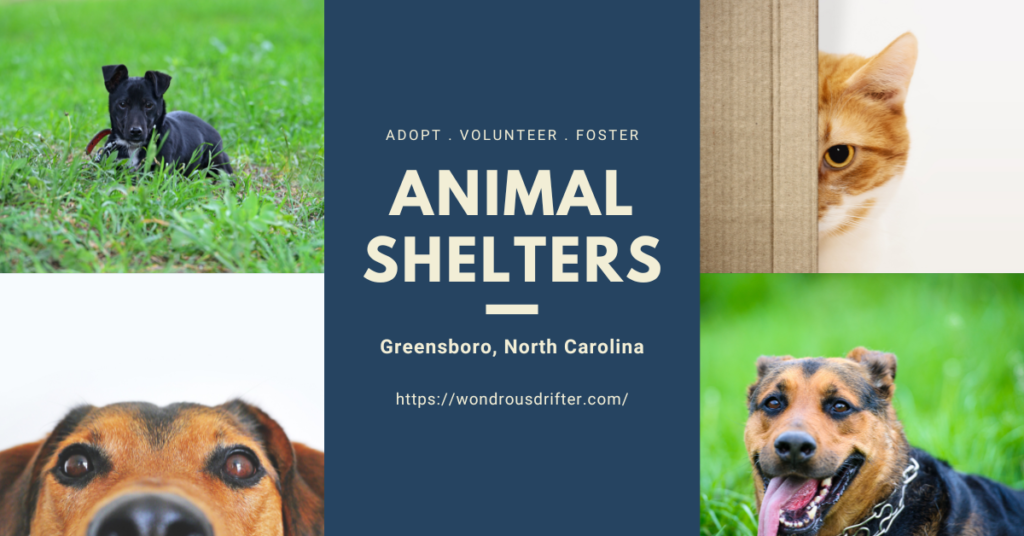 Animal Shelters in Greensboro, North Carolina