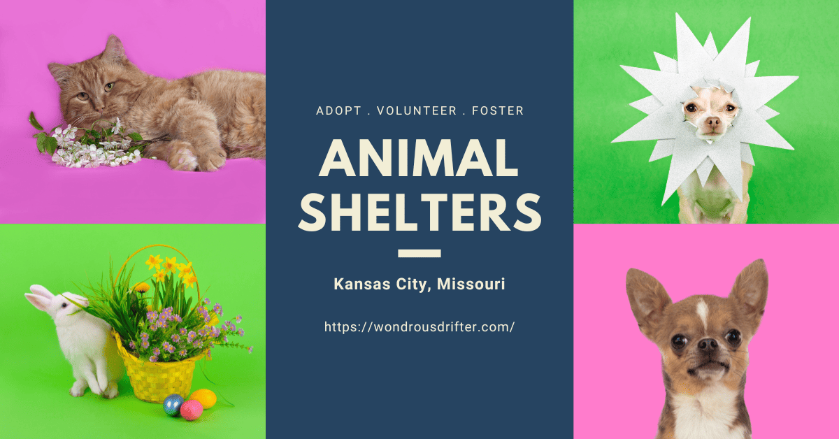 Animal Shelters in Kansas City, Missouri
