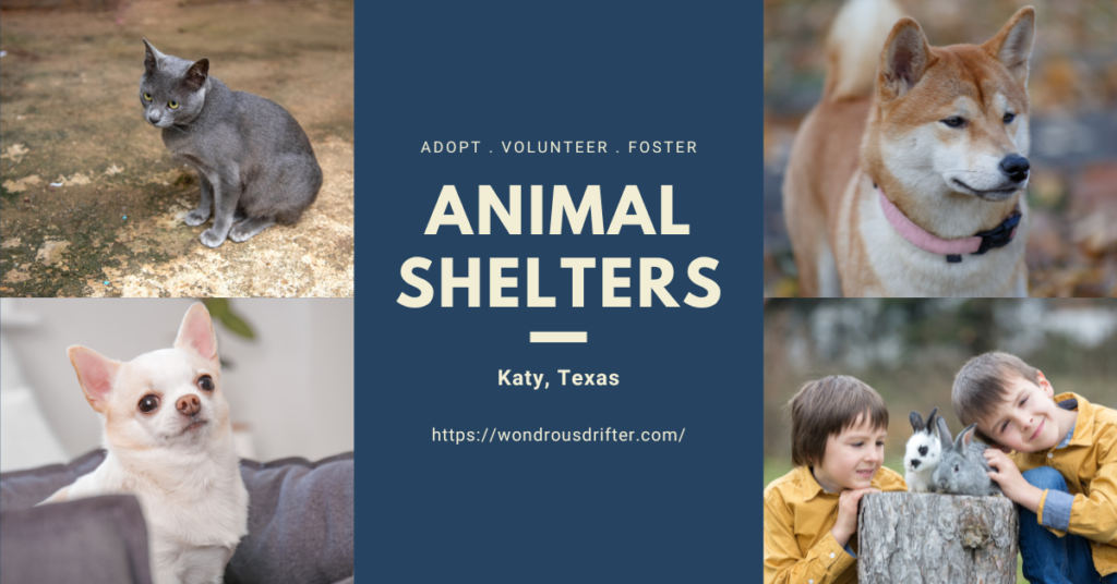 Animal Shelters in Katy, Texas