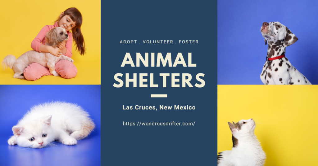 Animal Shelters in Las Cruces, New Mexico