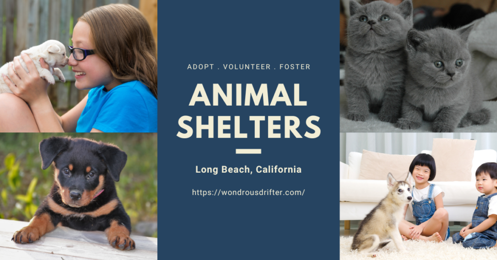 Animal Shelters in Long Beach, California