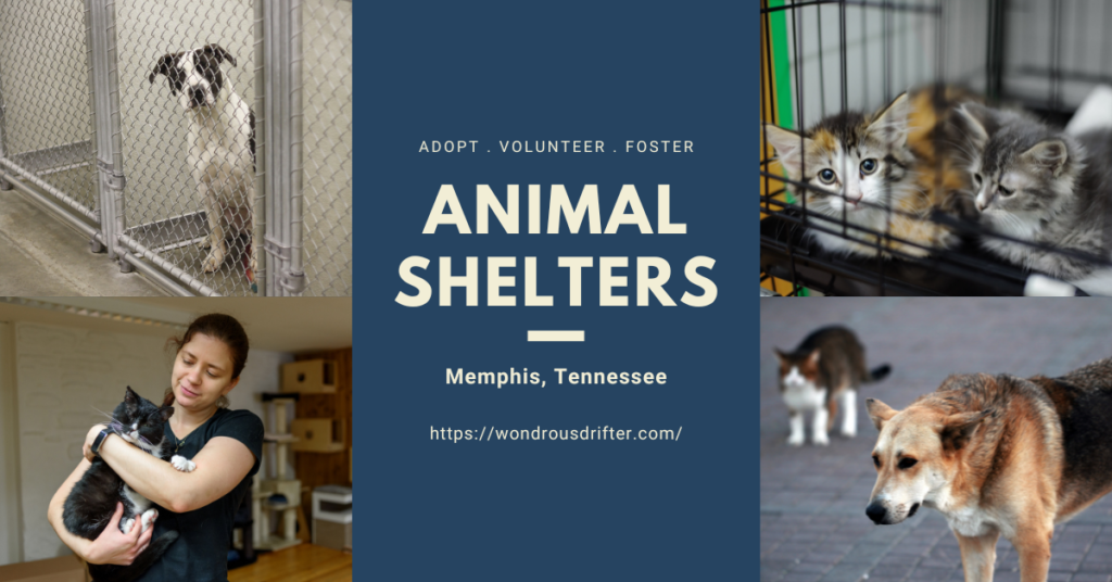 Animal Shelters in Memphis, Tennessee