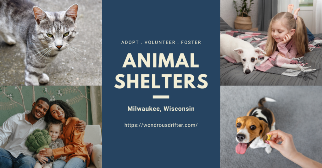 Animal Shelters in Milwaukee, Wisconsin