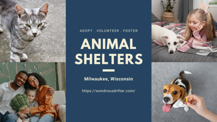 Animal Shelters in Milwaukee, Wisconsin