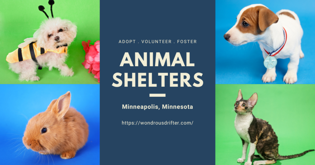 Animal Shelters in Minneapolis, Minnesota