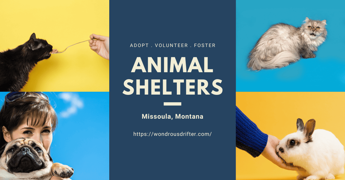 Animal Shelters in Missoula, Montana