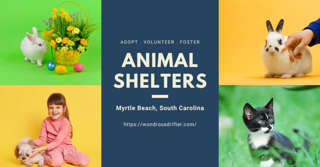 Animal Shelters in Myrtle Beach, South Carolina