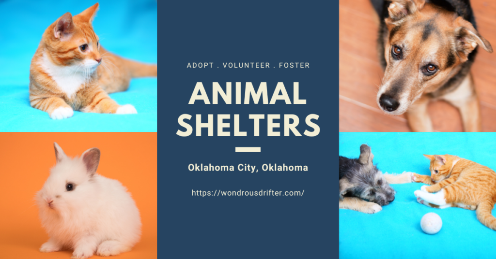 Animal Shelters in Oklahoma City, Oklahoma