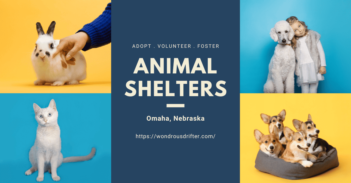 Animal Shelters in Omaha, Nebraska