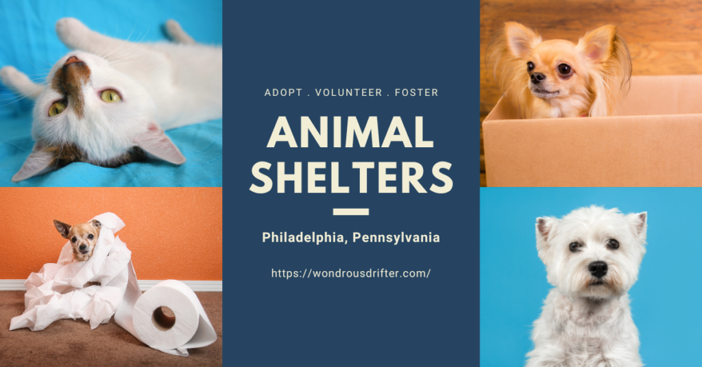Animal Shelters in Philadelphia, Pennsylvania