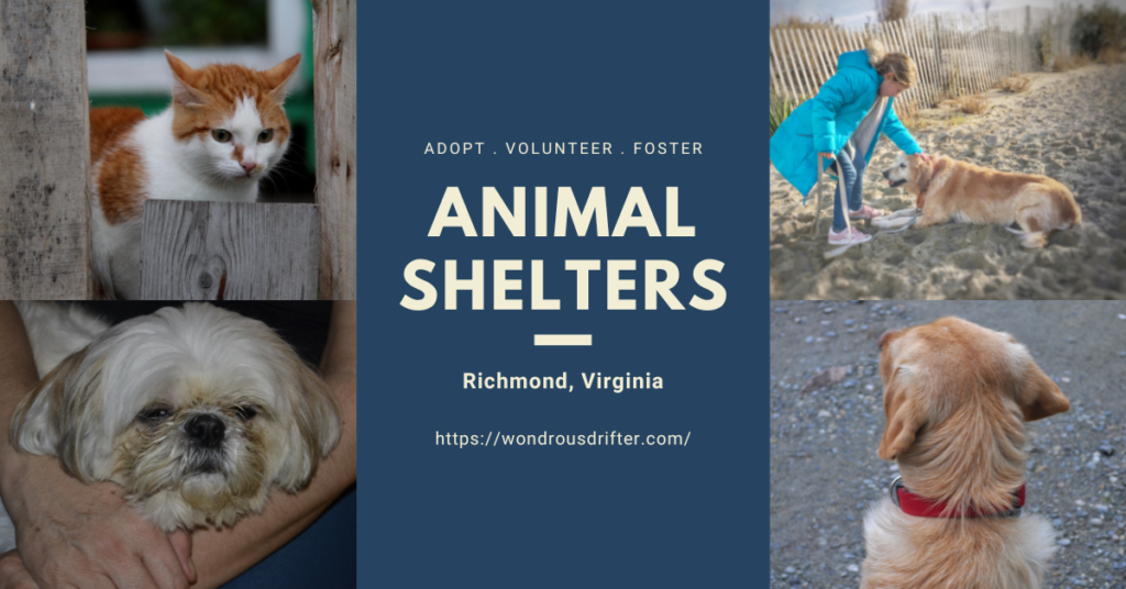 Animal Shelters in Richmond, Virginia