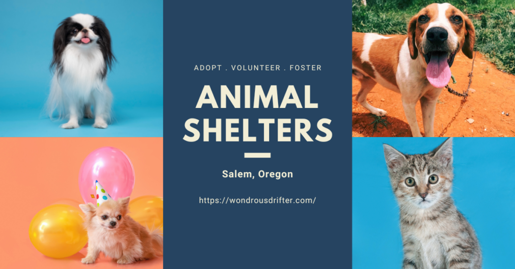 Animal Shelters in Salem, Oregon
