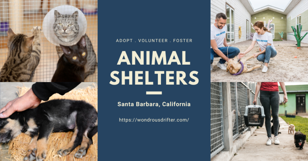 Animal Shelters in Santa Barbara, California