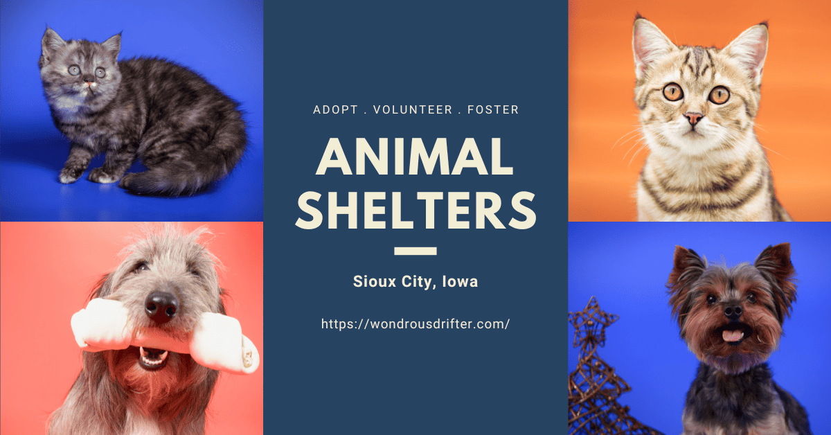 Animal Shelters in Sioux City, Iowa