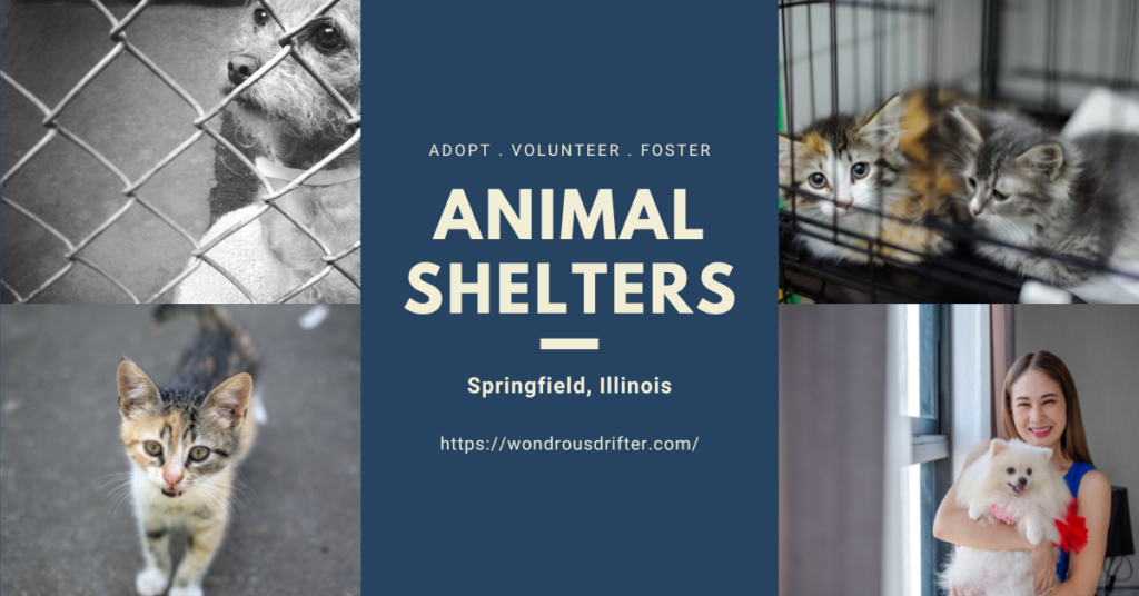 Animal Shelters in Springfield, Illinois