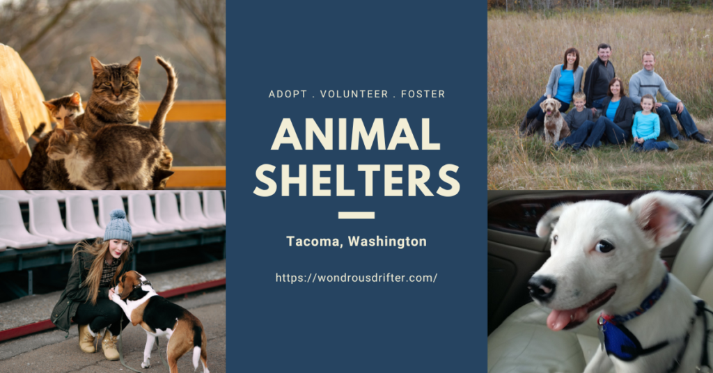 Animal Shelters in Tacoma, Washington