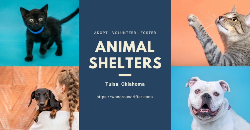 Animal Shelters in Tulsa, Oklahoma