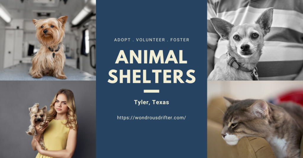 Animal Shelters in Tyler, Texas