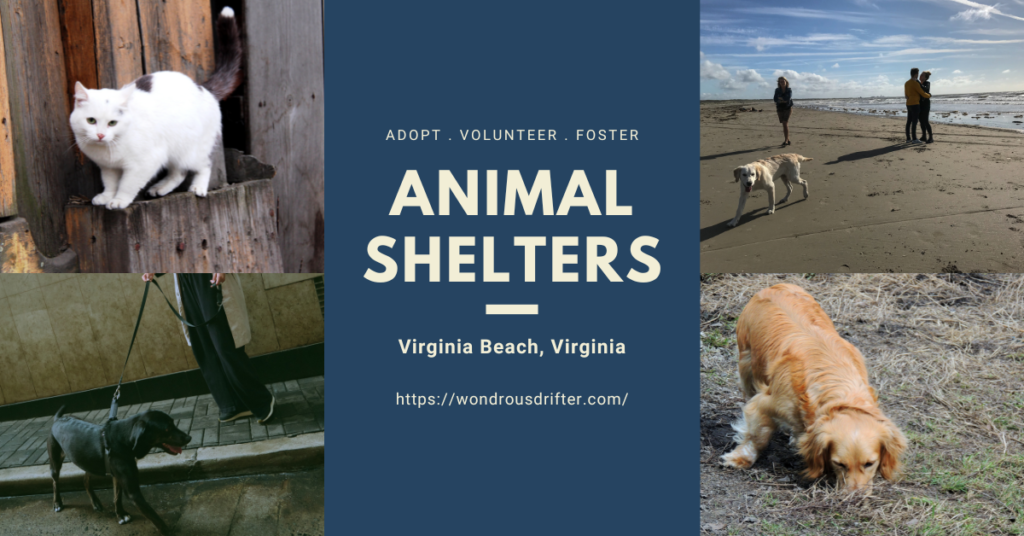 Animal Shelters in Virginia Beach, Virginia