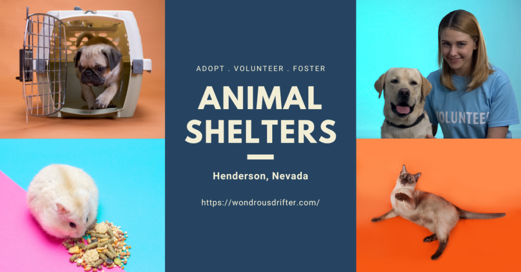 Animal shelters in Henderson, Nevada