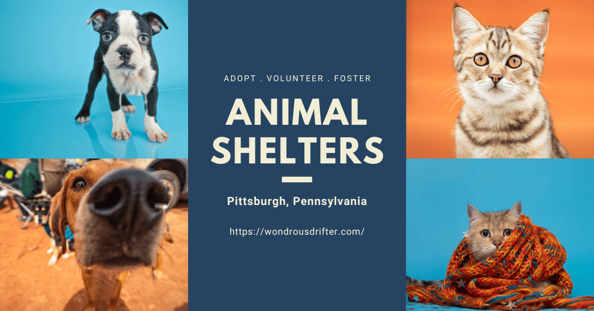 Animal shelters in Pittsburgh, Pennsylvania