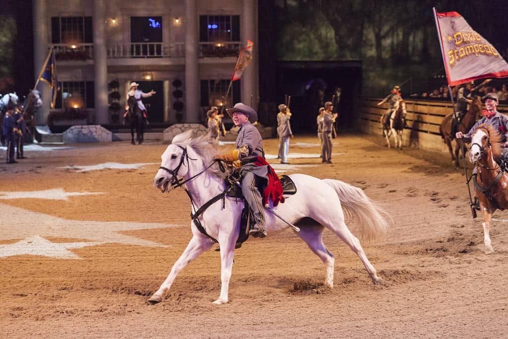 Dolly Parton's Stampede, Pigeon Force, Tennessee