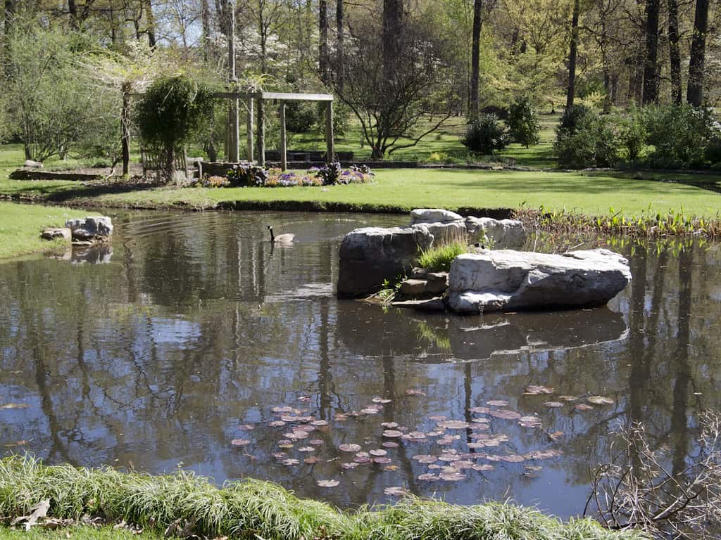 Memphis Botanic Garden, Memphis, Tennessee