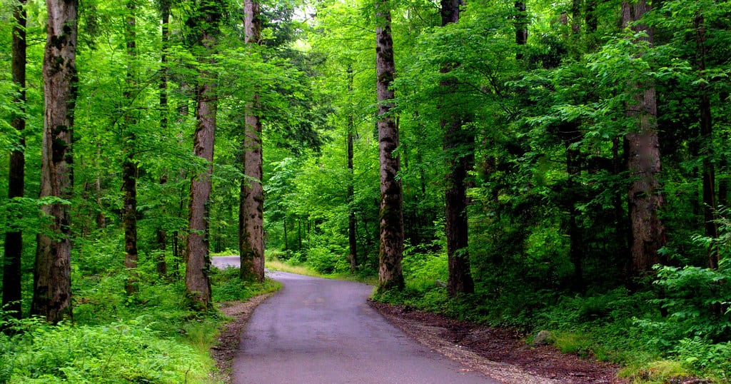 Roaring Fork Motor Nature Trail, Gatlinburg, Tennessee