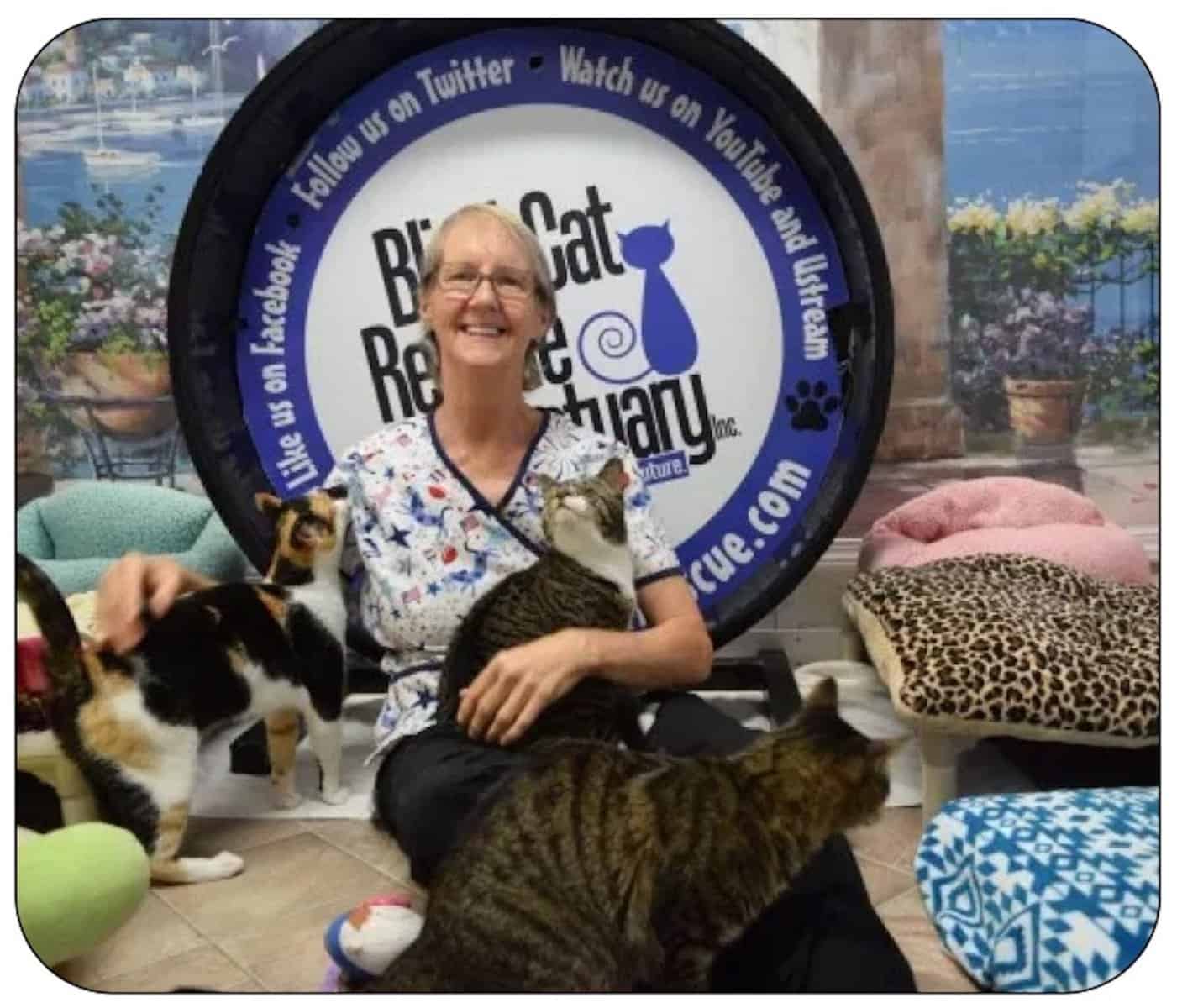 Blind Cat Rescue & Sanctuary Inc.